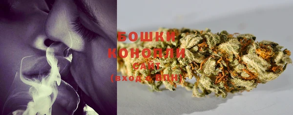 прущий лед Бронницы