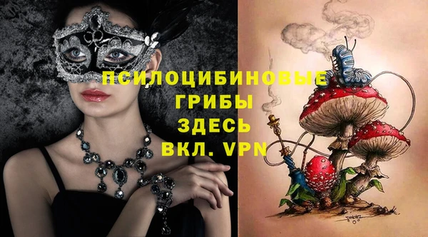 прущий лед Бронницы