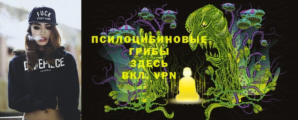 прущий лед Бронницы