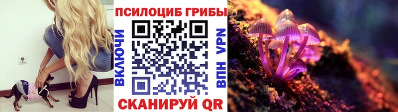 Купить закладки  Каменск-Уральский  Галлюциногенные грибы мухоморы 